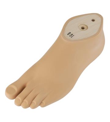 1G6	Lightweight cosmetic foot